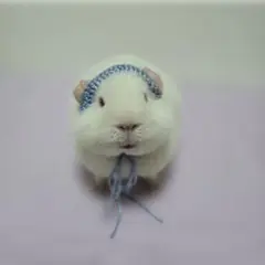 Item thumbnail for item 7d75834a-e17a-452b-a66f-f046b6ee4e4d