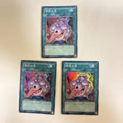 貪欲な壺　スーパー　3枚