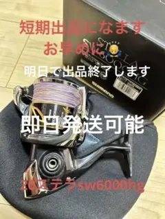 20swステラ6000hgシマノ