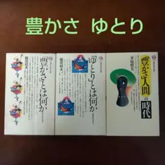 〈豊かさ〉の経済社会論  講談社現代新書３冊
