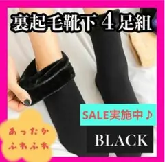 Item thumbnail for item d83e1f7c-ce3b-4735-ab95-4a18a0a0bc60