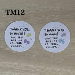 蝶デザインの感謝ステッカーセット