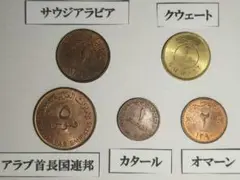 アマンリア（オマーン・コイン） 81nxaGiXtUL._UF350,350_QL80_.jpg