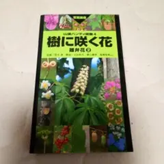 樹に咲く花 離弁花 2