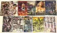 RIZIN ポテトスティック ポスターカード コレクション 11種類 セット