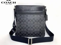 Item thumbnail for item 93fa9fdc-71b1-4624-989b-f0e669cce9f2