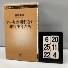 ケーキの切れない非行少年たち 6-20*25.22*4