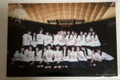 櫻坂46 自業自得 東京ドーム限定CD予約特典 2日目集合生写真