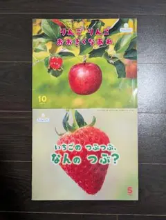 いちごのつぶつぶなんのつぶ りんごりんご おおきくなあれ ビッグサイエンス 2冊