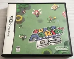 動作確認済 スーパーマリオ64 DS ニンテンドー