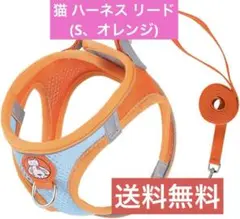 Item thumbnail for item c8094dcb-1f26-4bad-a5fc-99804849cff1