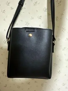 ミニショルダーバッグ　ブラック