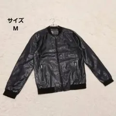 Item thumbnail for item 24c361e8-c4c0-4f11-9b1a-427387a4d825