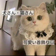 Item thumbnail for item 52941897-37fc-43ca-b143-70555415f11c