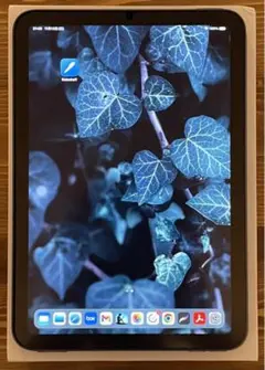 ipadmini6