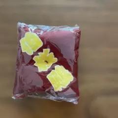 相撲ガチャ　座布団キーホルダー【伯桜鵬】