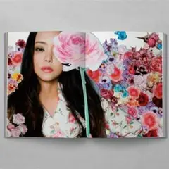 【新品未開封】安室奈美恵 Finally ツアーグッズ ツアーパンフレット