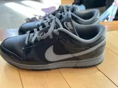 ダンク　ベルリン　NIKE 美品　27.0