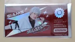 エリステ　チケット風カード　シャムス