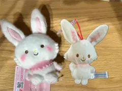 ウィッシュミーメル　ミルキーボア　サンリオキャラクターズ大賞