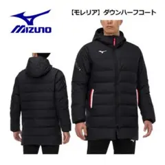 Item thumbnail for item 0d553b14-3680-4d45-a4a2-fe488ce9d0c0