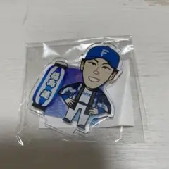 ファイターズ　超夏祭　アクスタ