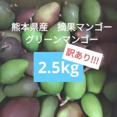 摘果マンゴー2/9② 61BrbwCEgnL._UF350,350_QL50_.jpg