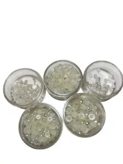 パール　ホワイト系　3㎜4㎜5㎜6㎜8㎜