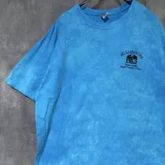 ARCOLAADVENTURES タイダイTシャツ XL ビッグシルエット