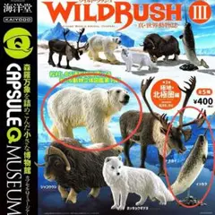 海洋堂 WILD RUSH Ⅲ ホッキョクグマ & イッカク
