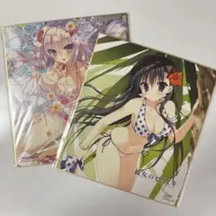 アニメ　色紙　2枚