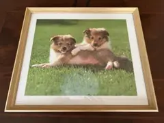 Item thumbnail for item 096beb02-a854-4145-b93c-78ff2eeb6fb8