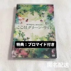 舞台 ここはグリーンウッド DVD 長妻怜央