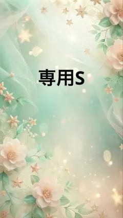 専用S