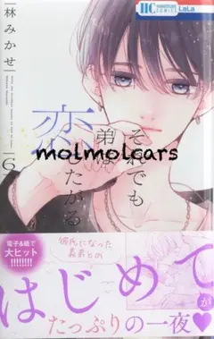 それでも弟は恋したがる 6