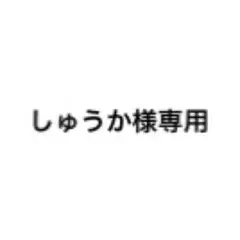専用　博士の愛した
