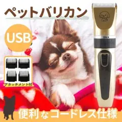 Item thumbnail for item 54774130-7402-439e-a6a6-fa2616b620e2