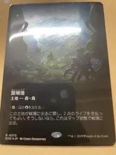 繁殖池　日本語　ギャラクシーfoil mtg