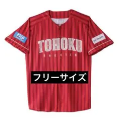 楽天イーグルス 東北プライドユニフォーム 2025 フリーサイズ