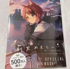 【新品未開封 おまけ有】 莉犬めもりー OFFICIAL FAN BOOK