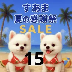 ✨夏の感謝祭セール✨パネル【No.15】