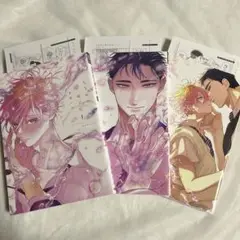【初版・特典ペーパー付き】ちりぢりゆくの 1〜3巻 まとめ売り【匿名配送】