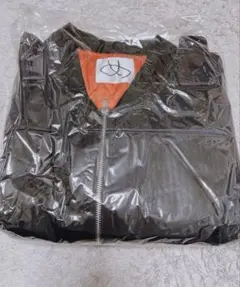 Item thumbnail for item 3d0976ce-fd1e-4af6-a521-bcdf7d410ef3