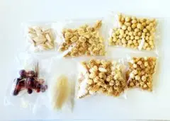 Item thumbnail for item 4037363e-c1eb-45b1-9150-862a7a9c0b77