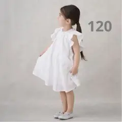 プティマイン ラメ ストライプ ワンピース 120