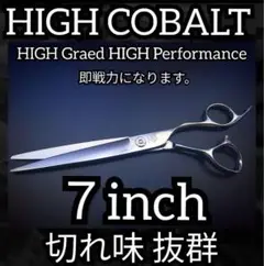 Item thumbnail for item e04ac7dd-0a80-4172-a0ed-8fa02978c3c9