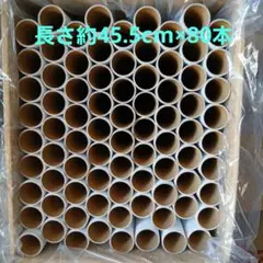 Item thumbnail for item b72ce5d7-0381-42d9-8732-6a4e685a3831