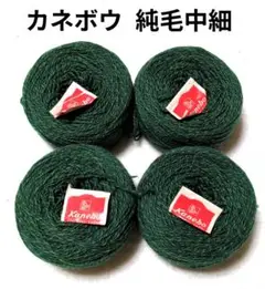 カネボウ毛糸 《純毛中細毛糸》 緑系ミックス　50g×4玉