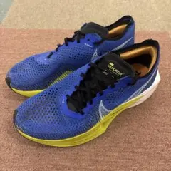 Item thumbnail for item f0575186-c85b-4a88-83ef-cccf46c17335