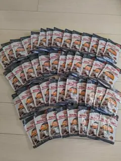 Item thumbnail for item 94f3638e-19f0-435d-be59-537690446efe